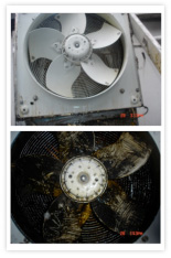 Cleaned Extractor Fan