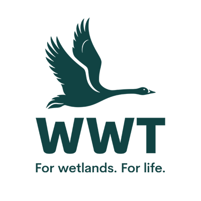 Clients-WWT